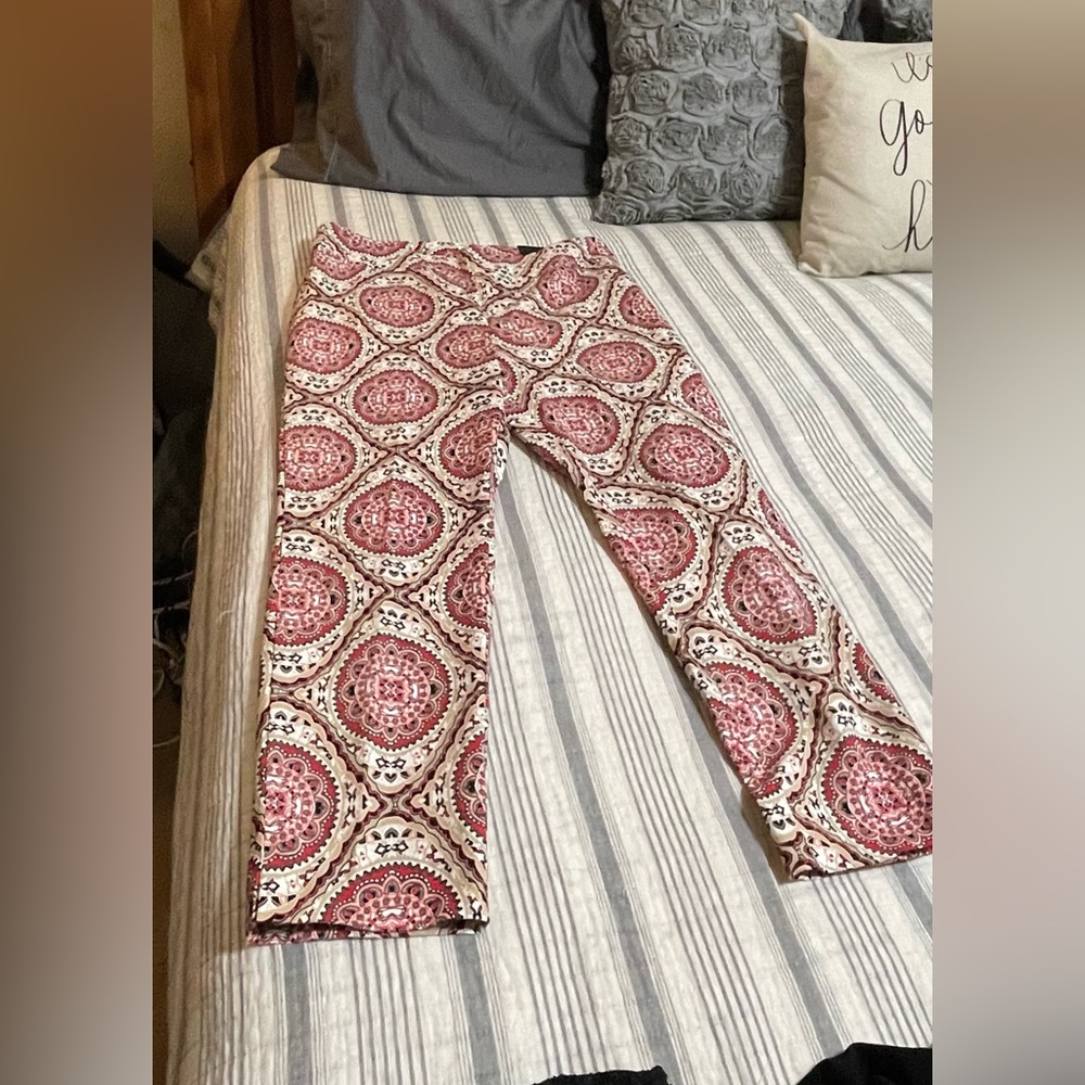 Chicos super cute ankle pants size 2.5
